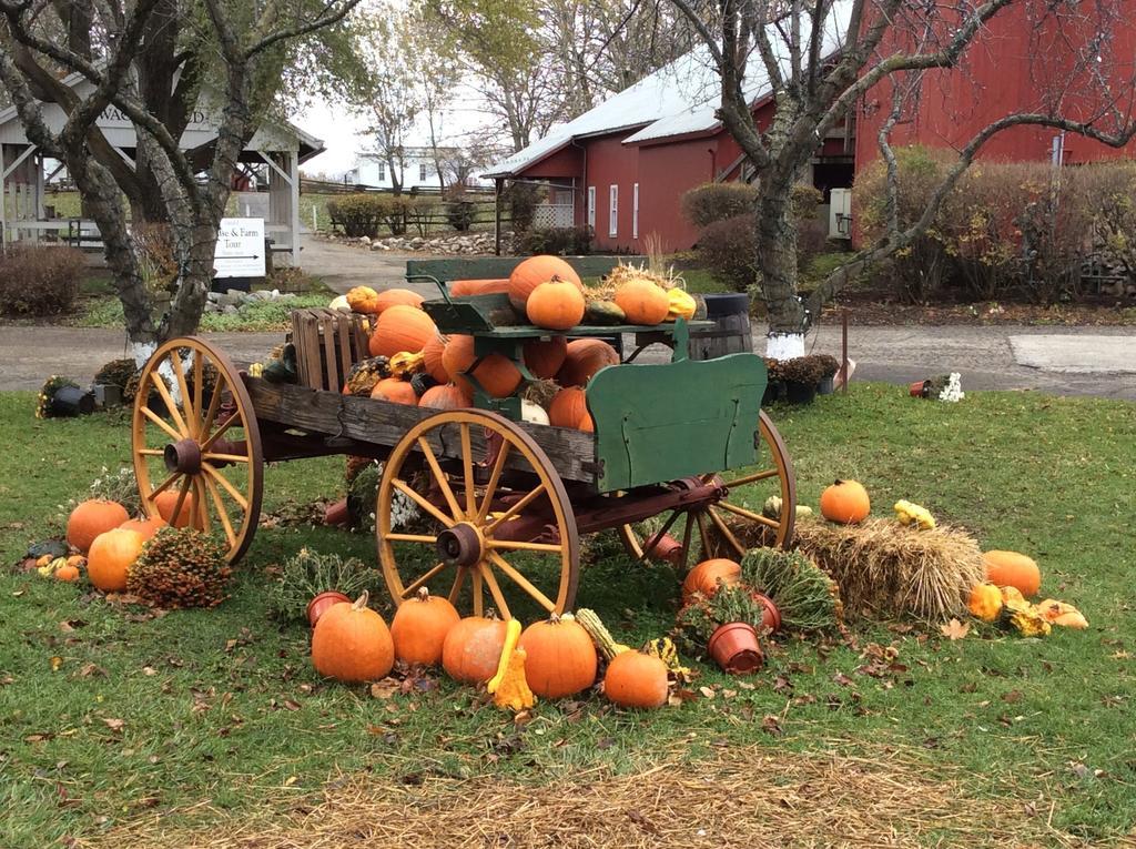 Countryside Inn Nappanee Dış mekan fotoğraf